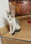 Romy (2)